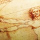 vitruvian man