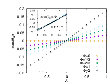 FIG. 1: (Left) Average of the cosine of the angle between swimming direction and local velocity as a function of the parameter Λ which controls the particle shape (Λ = −1, 0, 1 for disks, spheres and rods), for different swimming speeds Φ.