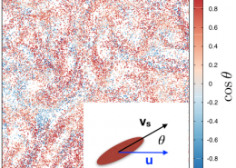 FIG 2. For rods, Λ = 1, it is shown by color the value of the cosine of the angle between particle swimming direction and local velocity.